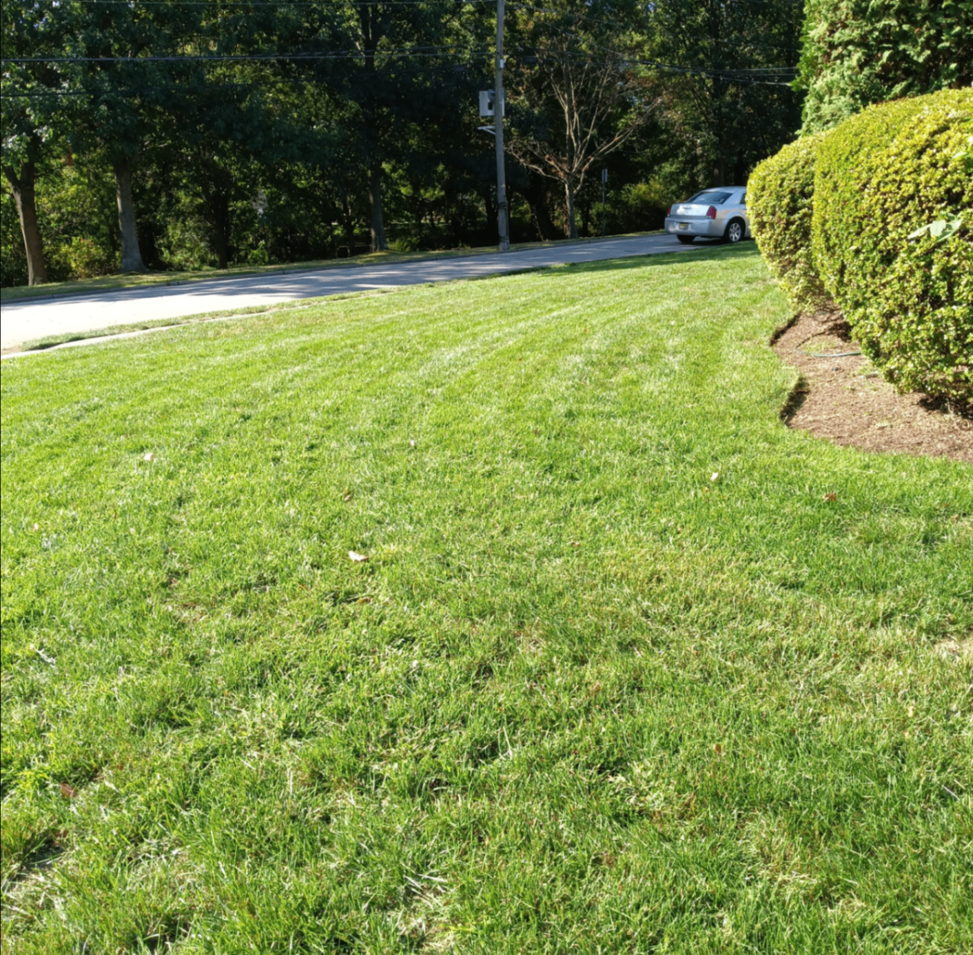 Striped, healthy lawn after weekly Property Squad service