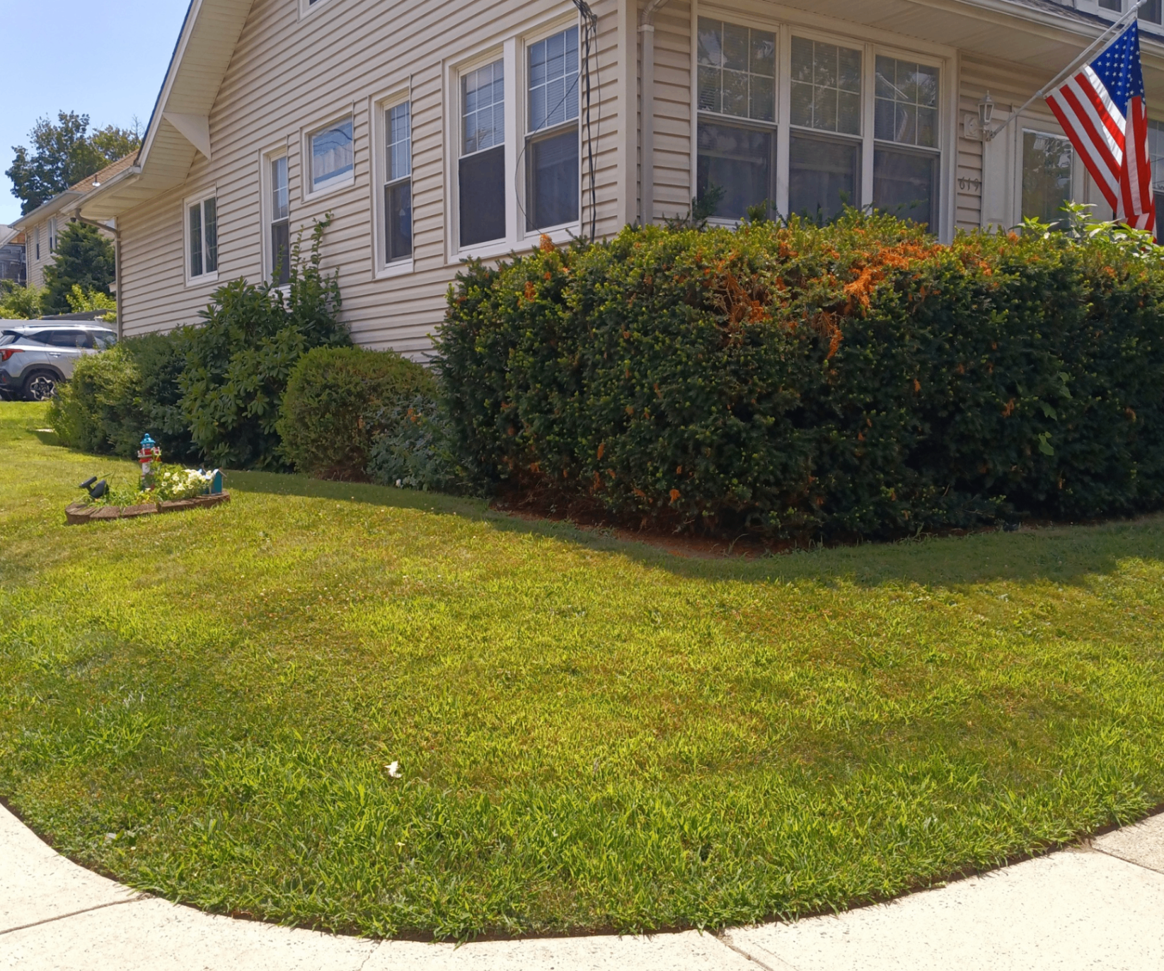 Maintained lawn and shrubs at a North Jersey property